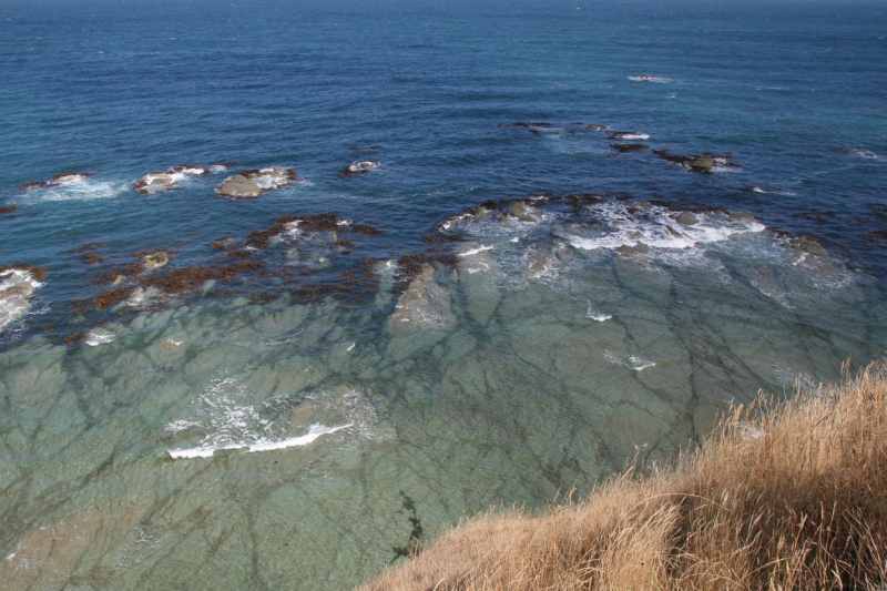 Nieuw-Zeeland 2011 - 1120